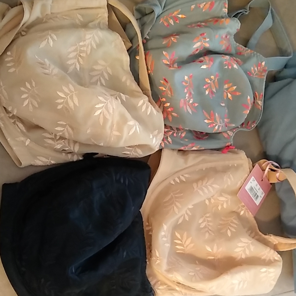 Panache bras 34k and 36k tango